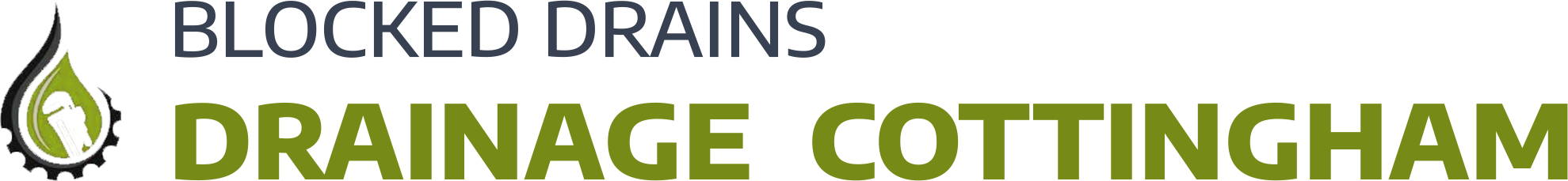 website logo